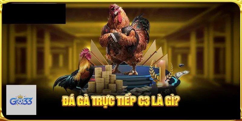 Đá Gà Online go33 - Những cửa cược thường gặp Đá Gà Online go33 - Những cửa cược thường gặp